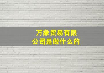 万象贸易有限公司是做什么的