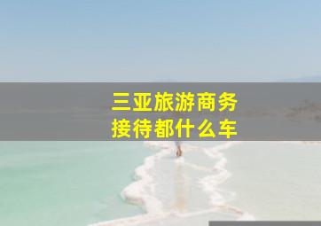 三亚旅游商务接待都什么车