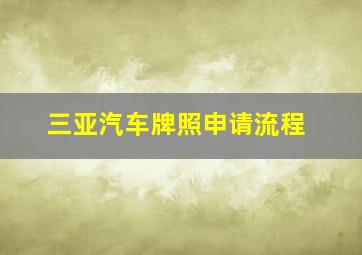 三亚汽车牌照申请流程