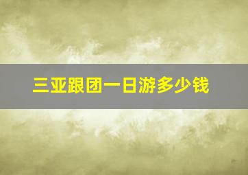 三亚跟团一日游多少钱