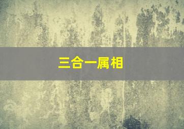 三合一属相