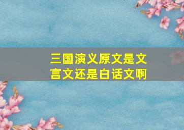 三国演义原文是文言文还是白话文啊