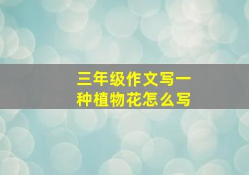 三年级作文写一种植物花怎么写