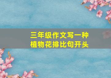 三年级作文写一种植物花排比句开头