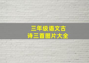 三年级语文古诗三首图片大全