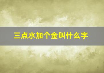 三点水加个金叫什么字