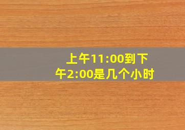 上午11:00到下午2:00是几个小时