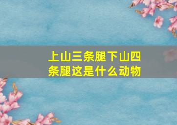 上山三条腿下山四条腿这是什么动物