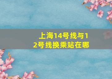 上海14号线与12号线换乘站在哪