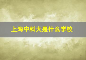 上海中科大是什么学校