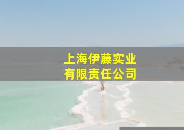 上海伊藤实业有限责任公司