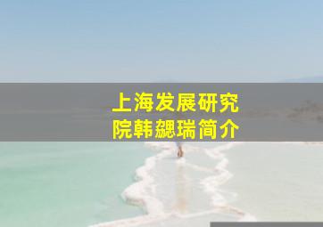 上海发展研究院韩勰瑞简介