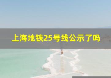 上海地铁25号线公示了吗