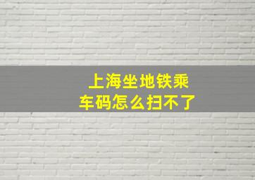 上海坐地铁乘车码怎么扫不了