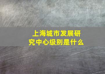 上海城市发展研究中心级别是什么