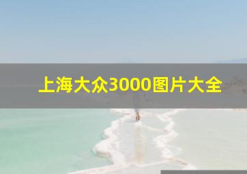 上海大众3000图片大全