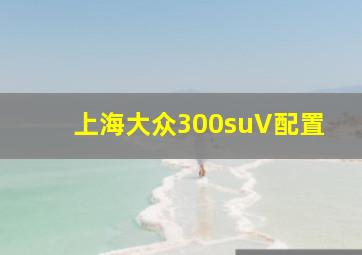 上海大众300suV配置