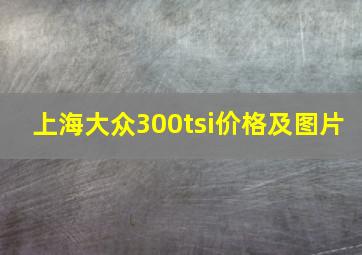 上海大众300tsi价格及图片