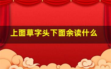 上面草字头下面余读什么