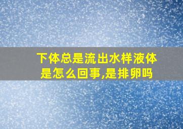 下体总是流出水样液体是怎么回事,是排卵吗