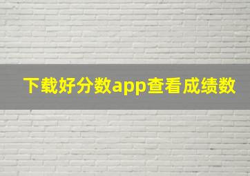 下载好分数app查看成绩数