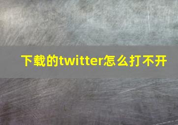 下载的twitter怎么打不开