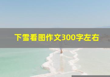 下雪看图作文300字左右