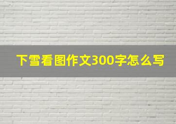 下雪看图作文300字怎么写