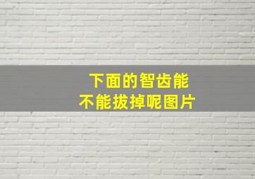 下面的智齿能不能拔掉呢图片