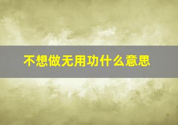 不想做无用功什么意思