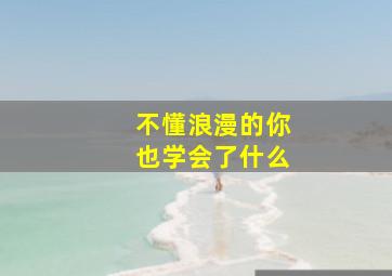 不懂浪漫的你也学会了什么