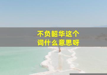 不负韶华这个词什么意思呀