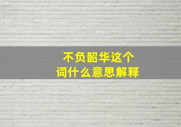 不负韶华这个词什么意思解释