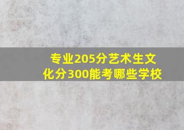 专业205分艺术生文化分300能考哪些学校