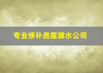 专业修补房屋漏水公司