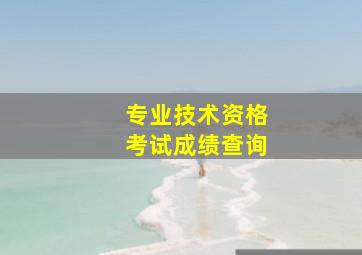 专业技术资格考试成绩查询