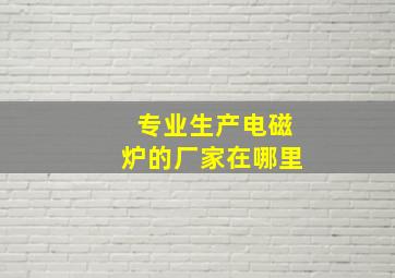 专业生产电磁炉的厂家在哪里