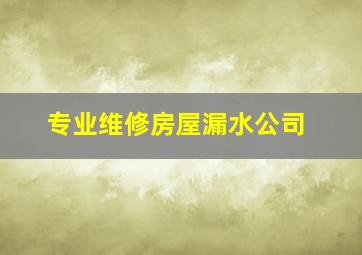 专业维修房屋漏水公司