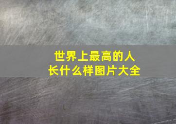 世界上最高的人长什么样图片大全