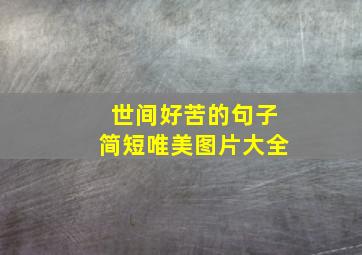 世间好苦的句子简短唯美图片大全