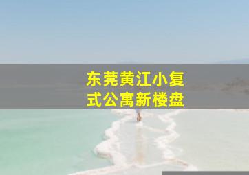 东莞黄江小复式公寓新楼盘