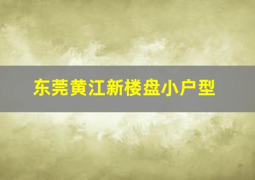 东莞黄江新楼盘小户型