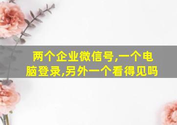 两个企业微信号,一个电脑登录,另外一个看得见吗