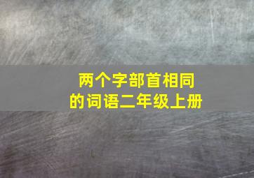 两个字部首相同的词语二年级上册