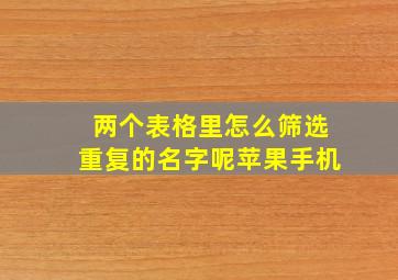 两个表格里怎么筛选重复的名字呢苹果手机