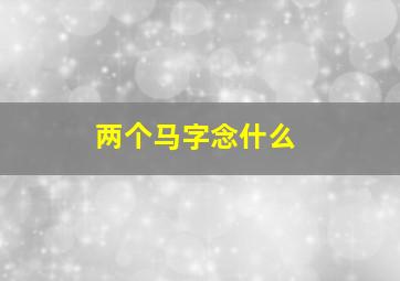 两个马字念什么