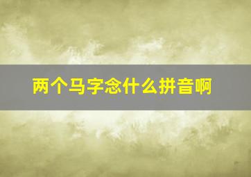 两个马字念什么拼音啊