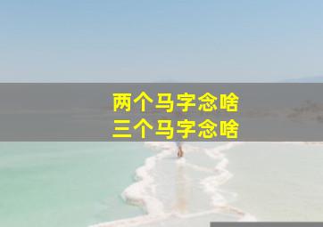 两个马字念啥三个马字念啥