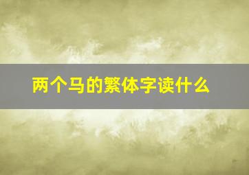 两个马的繁体字读什么