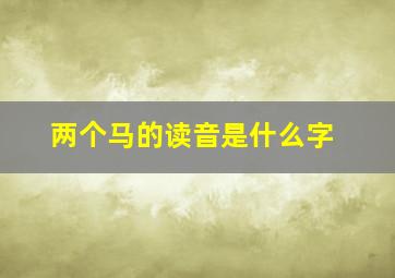 两个马的读音是什么字